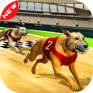 Dog Race 3d