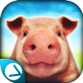 PigSimulator